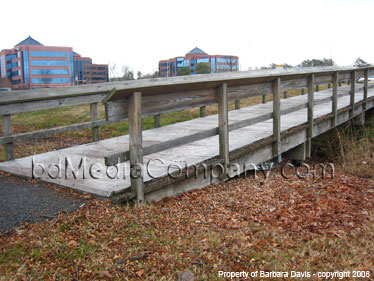 Landscape with Bridge - Virginia Beach, VA