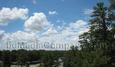 Landscape - Virginia Beach, VA